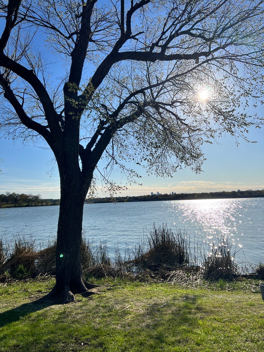 Top tier daily workout location. Never gets old. ☀️