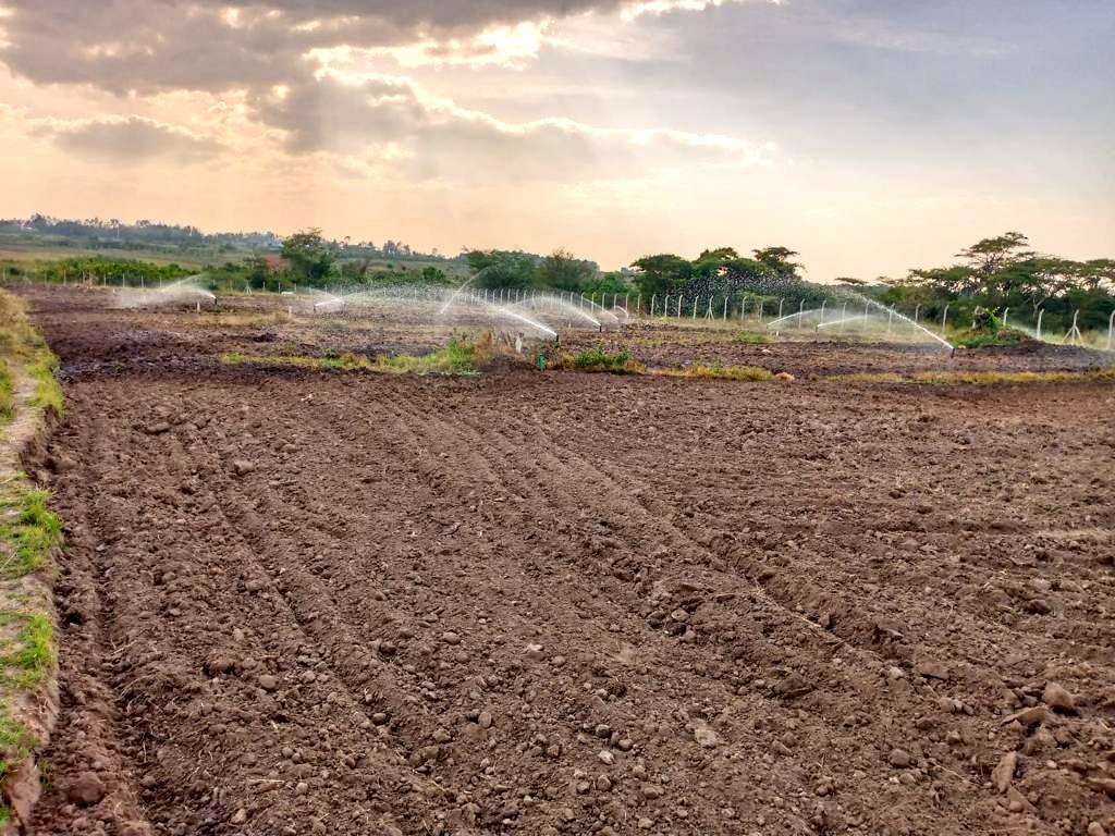 WycliffeOchiaga's tweet photo. With rainfed agriculture becoming untenable, @LBDAgov intends to focus on Solar powered irrigation; utilizing technology in modern farming as we mitigate against Climate Change effects. @Ewasonorth @KVDA_ke @minwater_sani @kilimoKE @KVDA_ke @CoastDev @TardaKE @Roba_Liban_Duba https://t.co/yW4q1AVYly