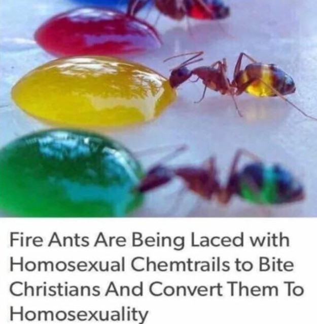 Imposter_Edits's tweet photo. Ant-tifa and their plans to turn Christians gay! https://t.co/5DCiNTqRV9
