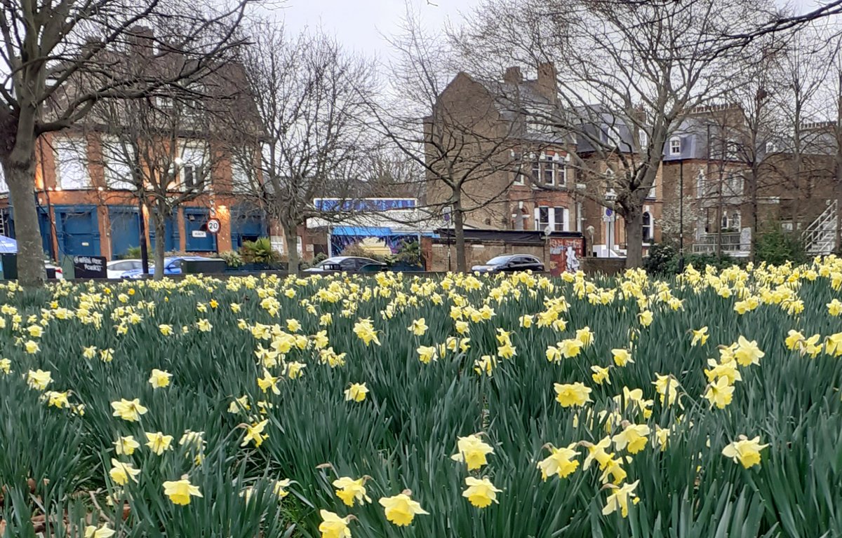 Brixton Neighbourhood Forum tweet media