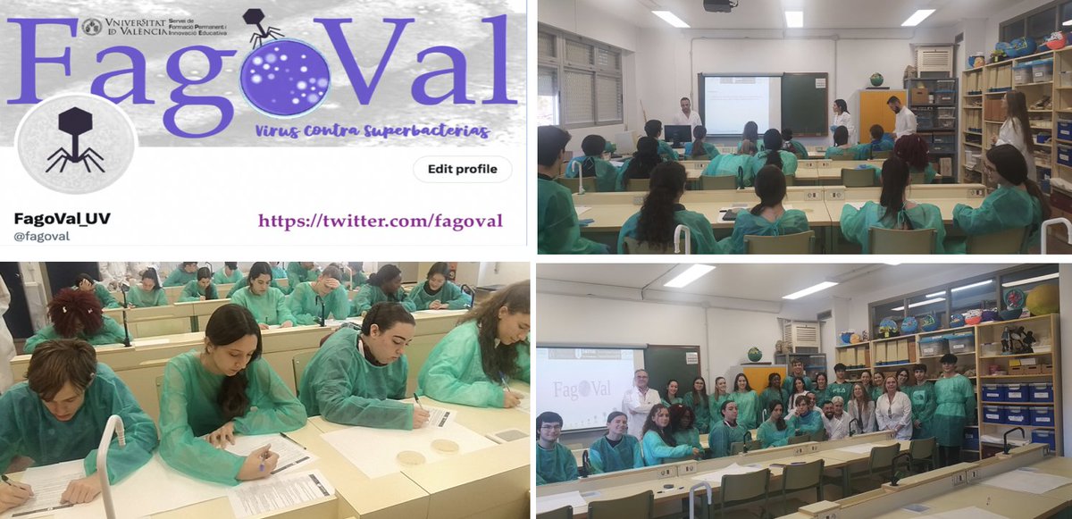 fagoval's tweet photo. Gracias @MChinchetru1, @gj_juanje, @RosaVaz22, @linusdaff, Jesús, @sergimaicas, @biosca_eg, @MargaOrtigosa y a los estudiantes @iesvae  por la búsqueda de #fagos para #fagoterapia. Nos vemos en sesión clausura
@sfpieuv
@BiologiquesUV
@SWIValencia
@SEMicrobiologia
@microBIOblog https://t.co/bNY7yQZ7yy