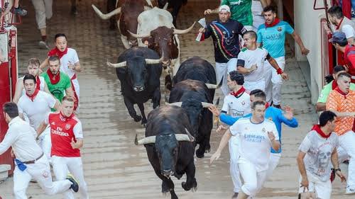AniWong6's tweet photo. Beware of the group of bulls. 🦬🐃🐂🐻🐼🐻‍❄️🐨 https://t.co/PS9ZPM1LOa