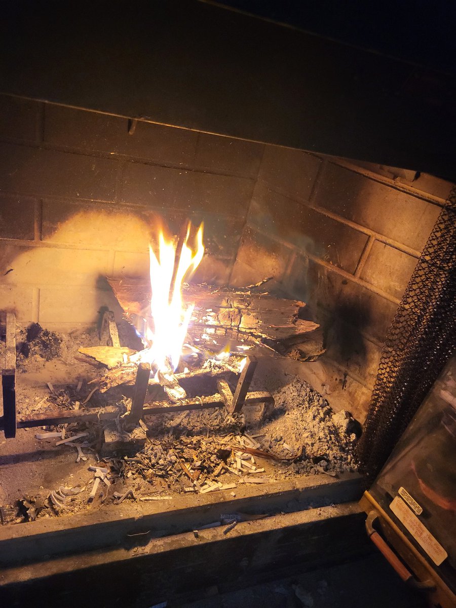 DameanMathews's tweet photo. A week ago I was sweating in Roatan... today this is my view. But at least it gives me a chance to work on my third entry in the Moonlight series, "Blood and Moonlight" (working title)! #dameanmauthor💀 #snowday #fireplace #Werewolf #author #amwriting #moonlightseries #writers https://t.co/j9NBLI1H2Z