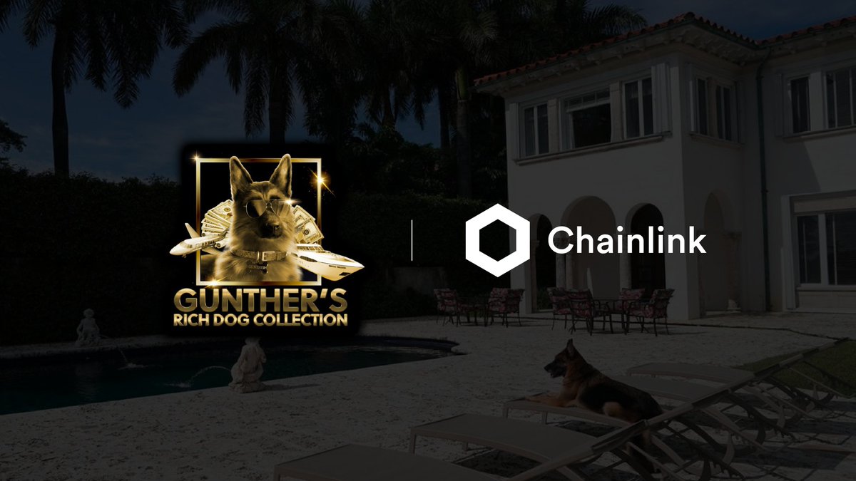 chainlink's tweet photo. The @guntherrichdog NFT collection is integrating #Chainlink VRF to support the launch of unique digital collectibles based on the new @netflix Original Series Gunther’s Millions. https://t.co/fBocGu8cTP