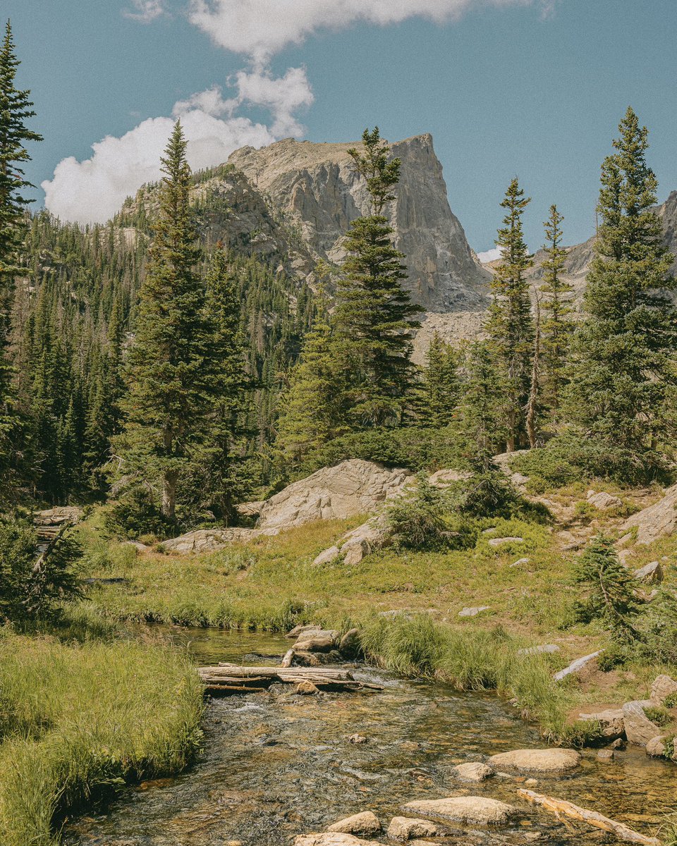 inthemeadow's tweet photo. summer out west https://t.co/TfQC7X3Qwr