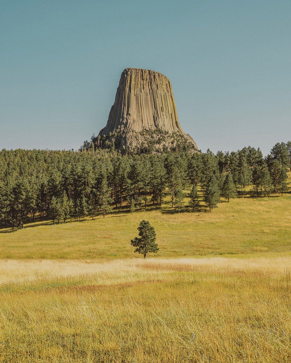 inthemeadow's tweet photo. summer out west https://t.co/TfQC7X3Qwr