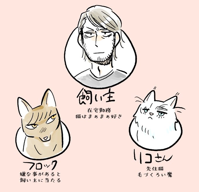 猫化1
なんとなく思いついただけで深い意味はないです。 