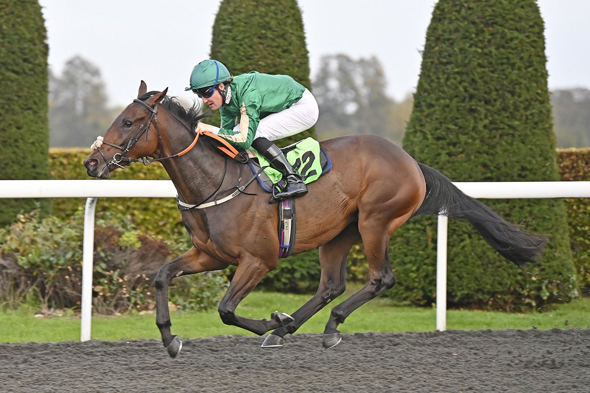 GreensRacing's tweet photo. This week is all about #Cheltenham2023 but if you fancy some fun on the flat over the Summer why not get involved with our 3yo Beauld As Brass who won last time out! In training with @GBakerRacing 🐎 A real consistent type &amp; lots of fun! 

Just one 10% share left, can be 2x 5%! https://t.co/Dn2uaOZdGP