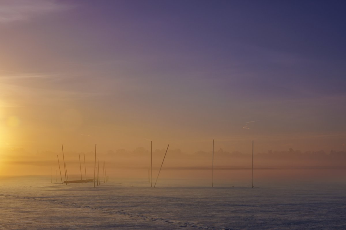 Good morning! Fog blankets Lake Harriet on Tuesday in Minneapolis. for <a href="/MPRnews/">MPR News</a>
