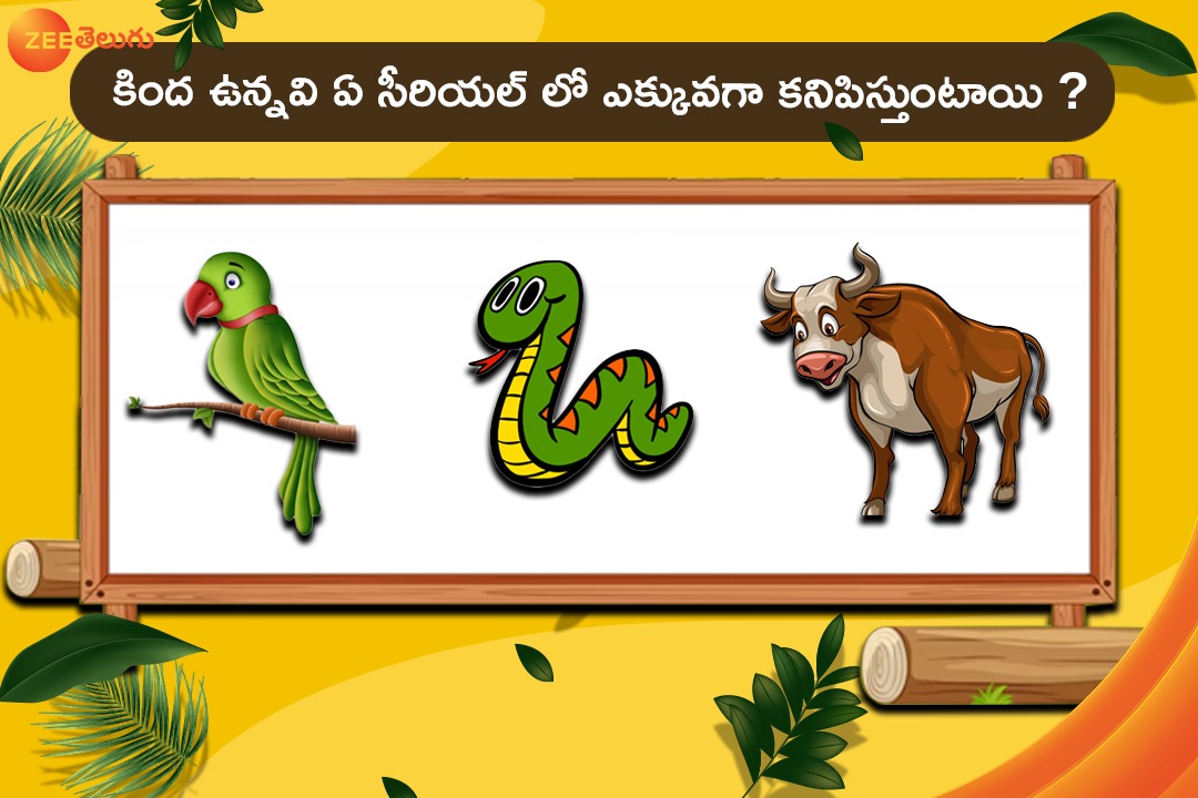 ZeeTVTelugu's tweet photo. కింద ఉన్నవి ఏ సీరియల్ లో ఎక్కువగా కనిపిస్తుంటాయి?
#GuessTheSerial #ZeeTelugu https://t.co/brXtislgHZ
