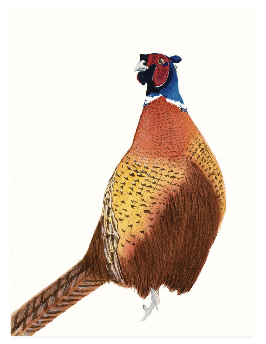 DeborahLeagueFA's tweet photo. I love painting colorful wildlife #watercolor #homedecor #buyintoart #pheasant #ringneckpheasant #birdpainting #watercolorpainting #art #artist #AYearForArt #birdart #bird #wildlife #nature #birdlovers #naturelovers #colorful @ArtistRTweeters #art
Art - https://t.co/7NWR0YrmTa https://t.co/7CqFSnCsA2