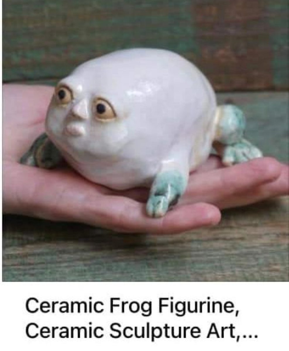 Amphibian 𓆏 (@amphhibian) on Twitter photo 