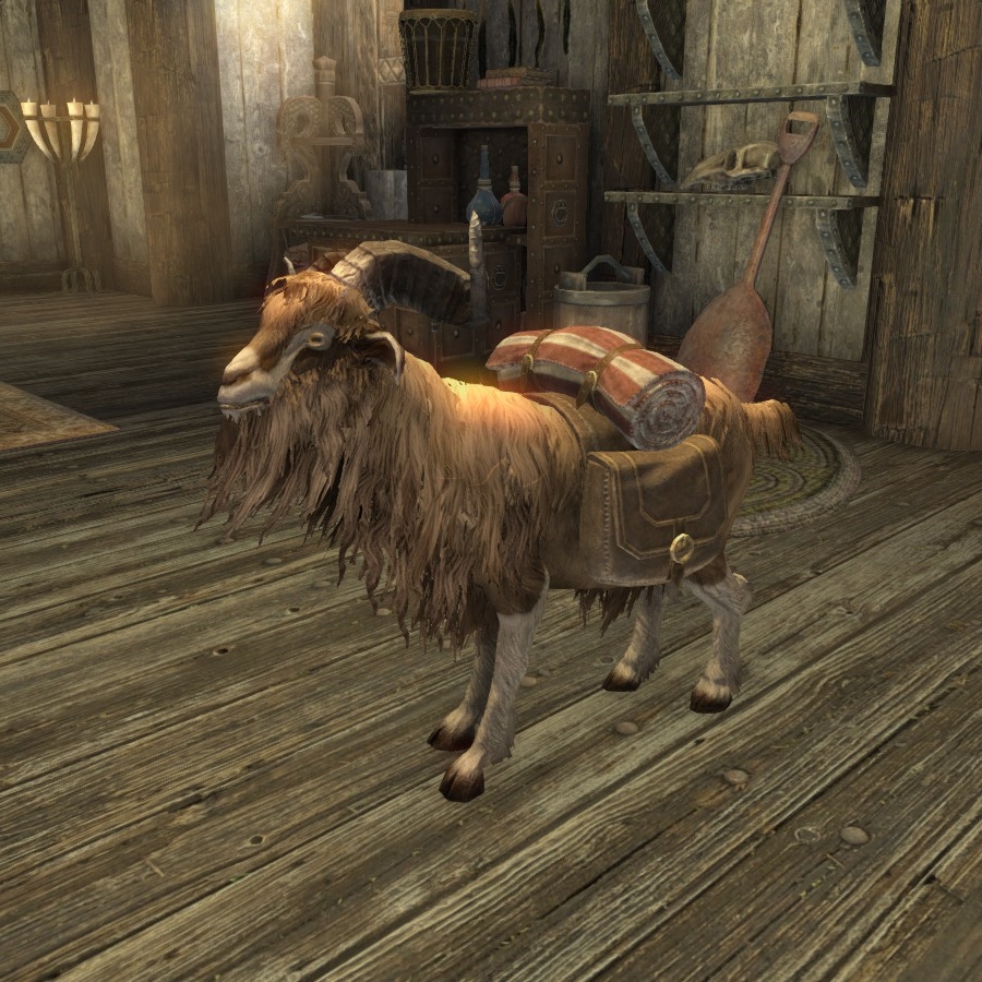 UESP_net's tweet photo. Pictured: Hilda. https://t.co/zoccvpir4U