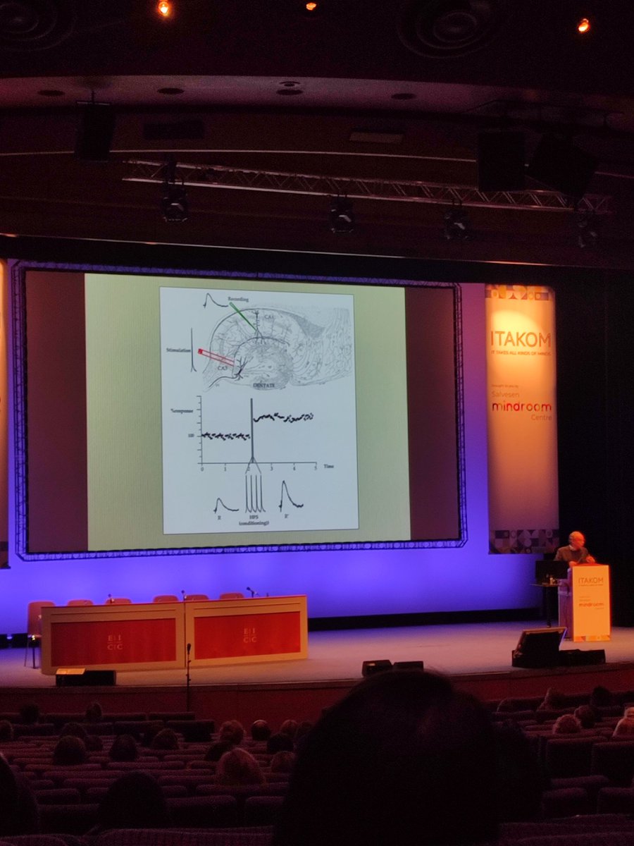 GGerike's tweet photo. Back with snap shots! 2nd day @ITAKOM_CONF was just as good as the first. As an early career researcher I have learned a lot &amp; am happy this exists. I was especially inspired by @sue_gathercole's key note! And thank you @SueReviews and Sophie Dow for such a great program! https://t.co/zKsHquEcvL