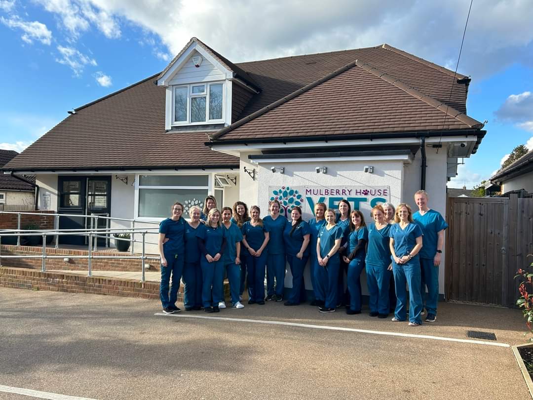 Spread the word to your friends &amp; family - we are now welcoming new client registrations! Give us a call on 0118 4028822 or visit our website: mulberryhousevets.co.uk/register-your-… 
We look forward to welcoming you and your pets 🐱🐶🐾