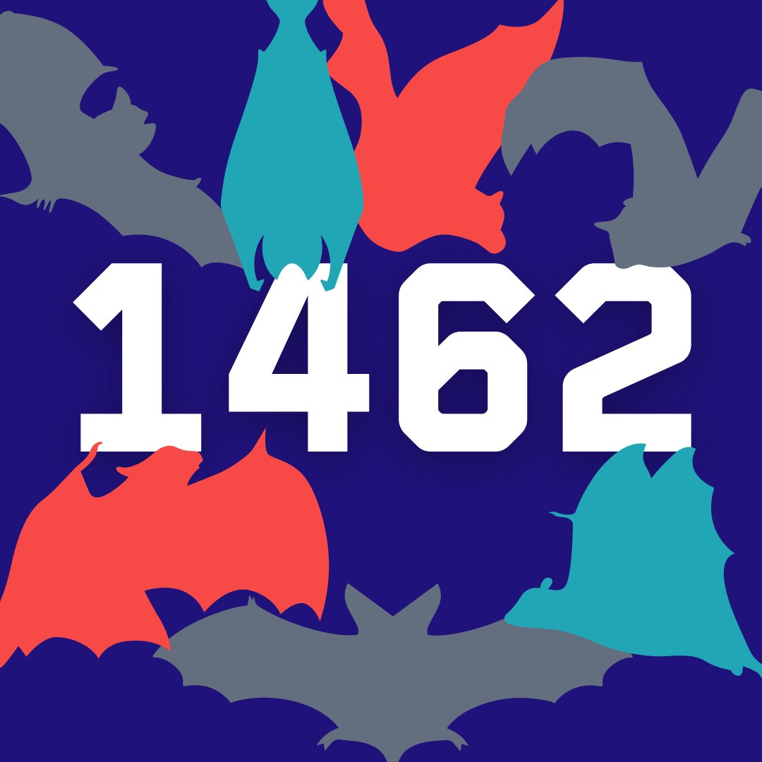 𝟏𝟰𝟲𝟮‼️ The newest bat species count is in at 1,462 species of the order Chiroptera! Bats are incredibly diverse and make up 20% of all mammal species. Due to ever-evolving discoveries in science and the elusive nature of bats, new species are being classified every year.