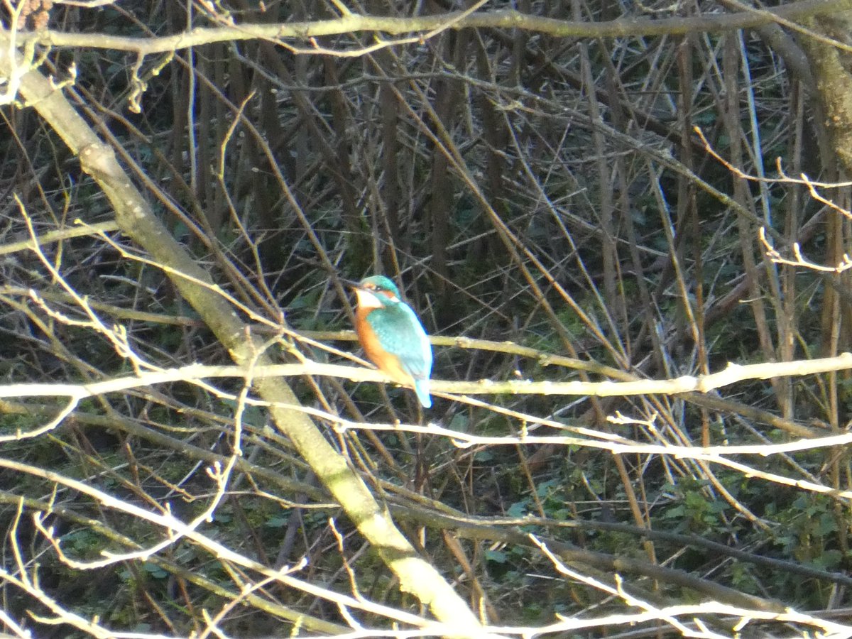 Valerie Gordon tweet media