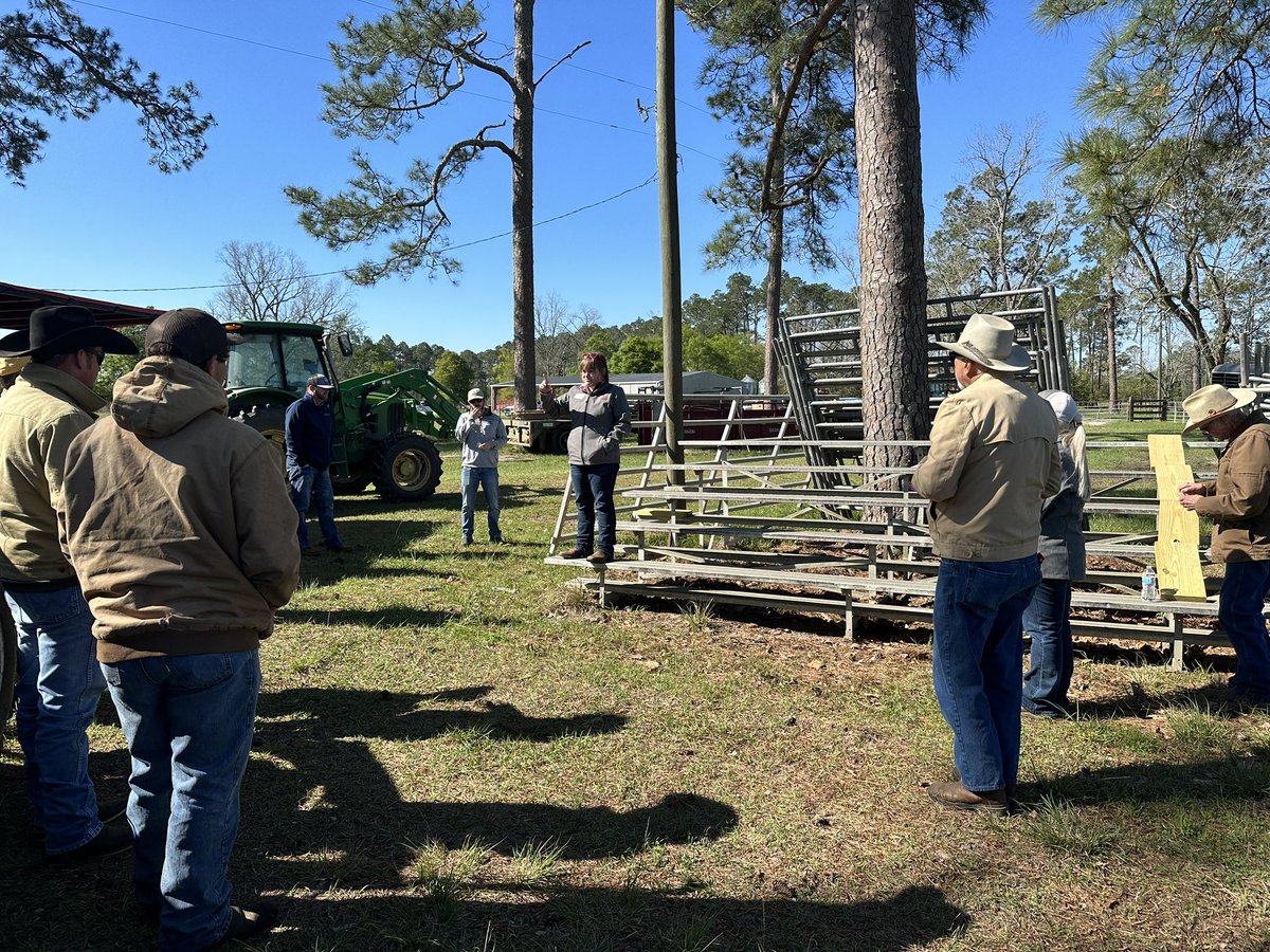 Jennifer Tucker tweet media