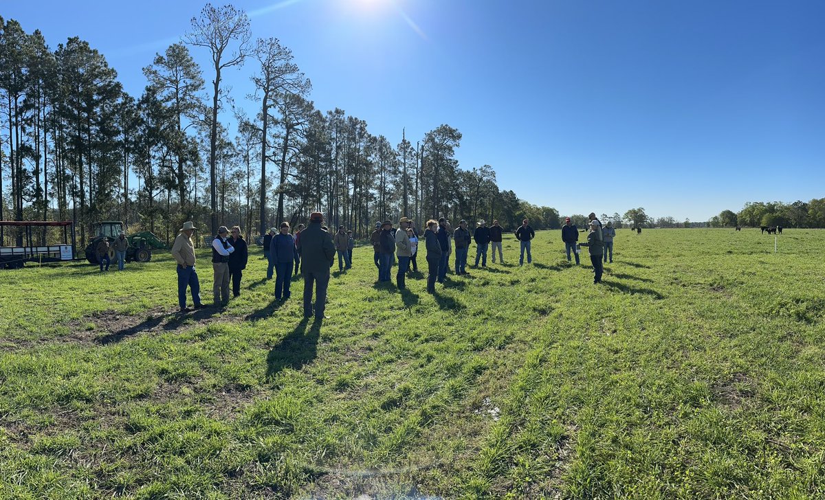 Jennifer Tucker tweet media