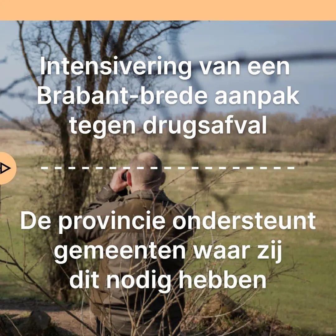 D66 Brabant tweet media