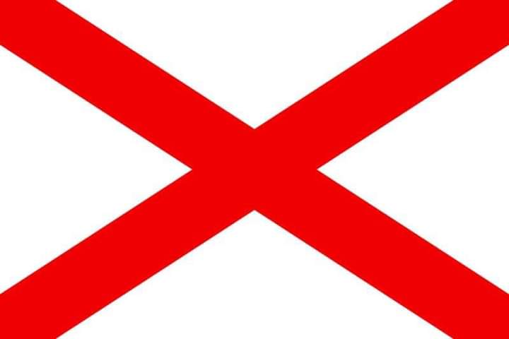 The flag for ST Patrick let’s hope tricolours are banned and we can move forward to an all inclusive event celebrating the Welsh Saint!!!