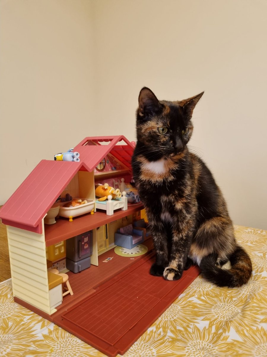 Guarding the Bluey house is serious business.