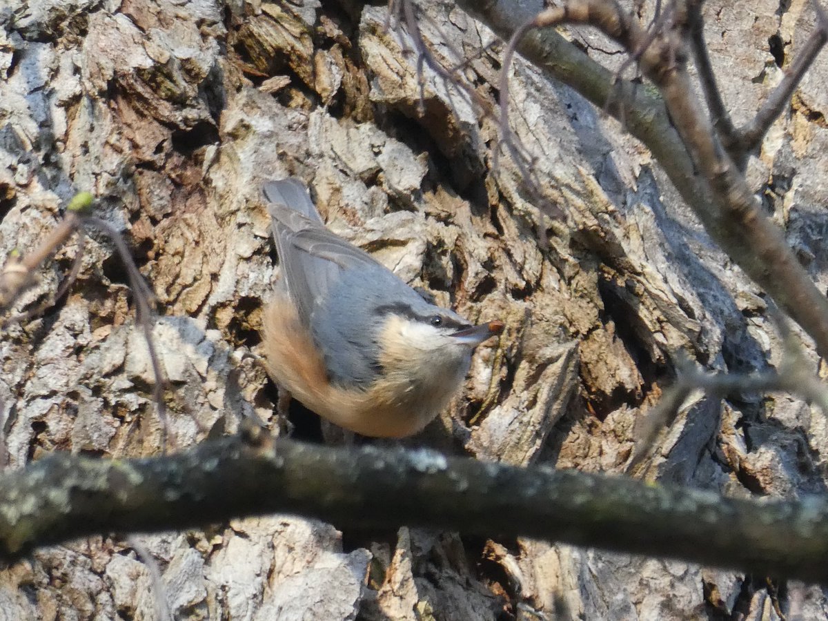 Valerie Gordon tweet media