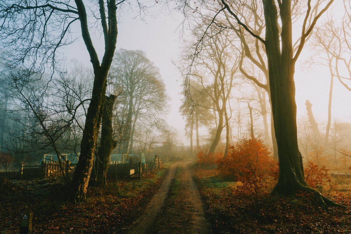 Daniel Casson tweet media