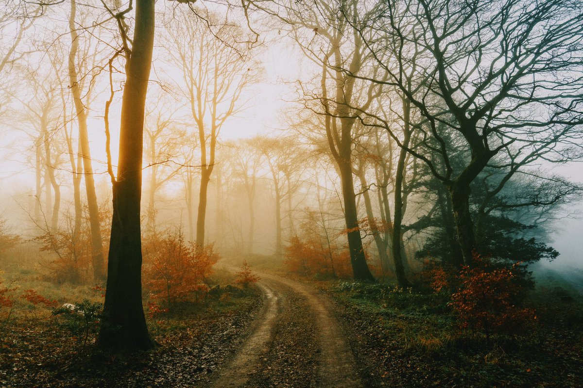 Daniel Casson tweet media