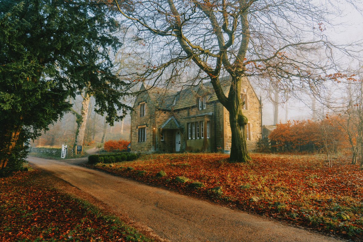 Daniel Casson tweet media