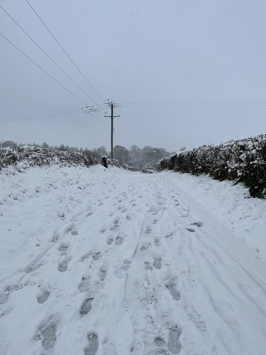 What a difference a few days makes 🌤️❄️