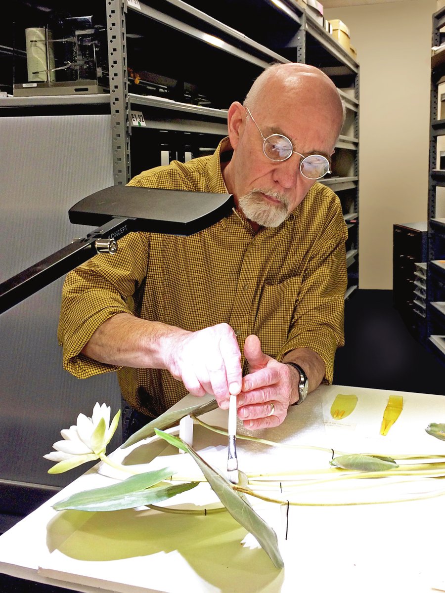 HarvardMuseum's tweet photo. Many visitors have enjoyed visits to the #GlassFlowers. During the upcoming hybrid event on 3/25 Scott Fulton will discuss his work conserving the collection & preparing models for the exhibit “From the Hands of the Makers.” https://t.co/Po9gFWwgvj #Glassworking #ArtConservation https://t.co/BwNcODvzRh