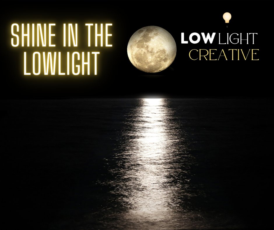 itstydog tweet media