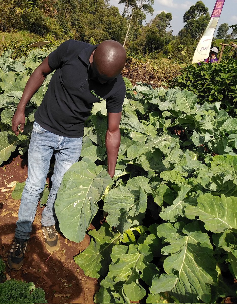 It's always hard to start.