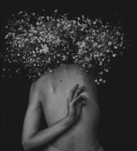 literlandweb1's tweet photo. « —¿Crees que no te quisieron demasiado?
—Yo diría que entre un «no lo suficiente» y un «nada de nada». Siempre estuve hambrienta. Aunque sólo hubiera sido una vez, hubiera querido recibir amor a raudales»
“Tokyo Blues”, Haruki Murakami https://t.co/vVm0r7ZRJp