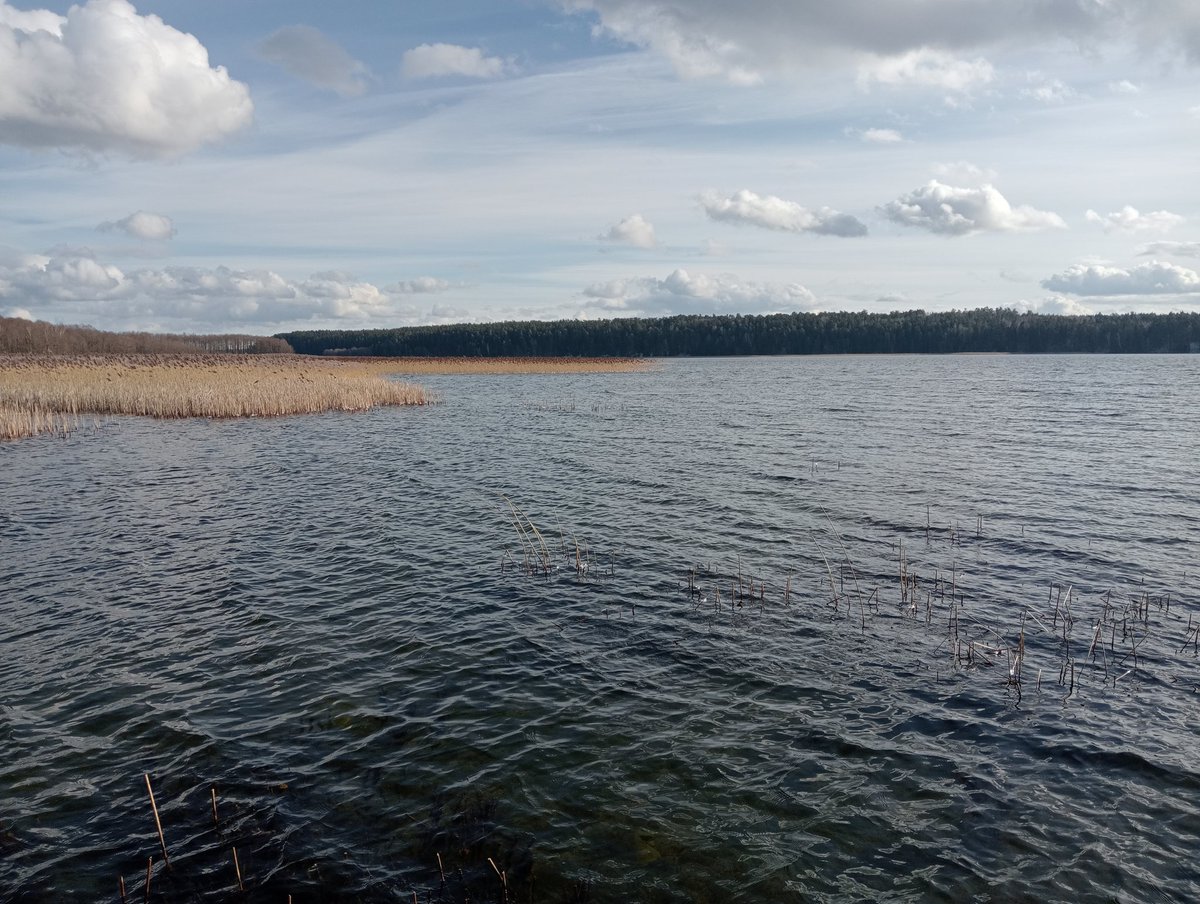 Kaukaz_Observer's tweet photo. Jezioro Wigry jest tak piękne, że zdjęcia wychodzą nawet temu, kto nie umie ich robić...
#Suwalszczyzna #Wigry https://t.co/WbOd0zRUOJ