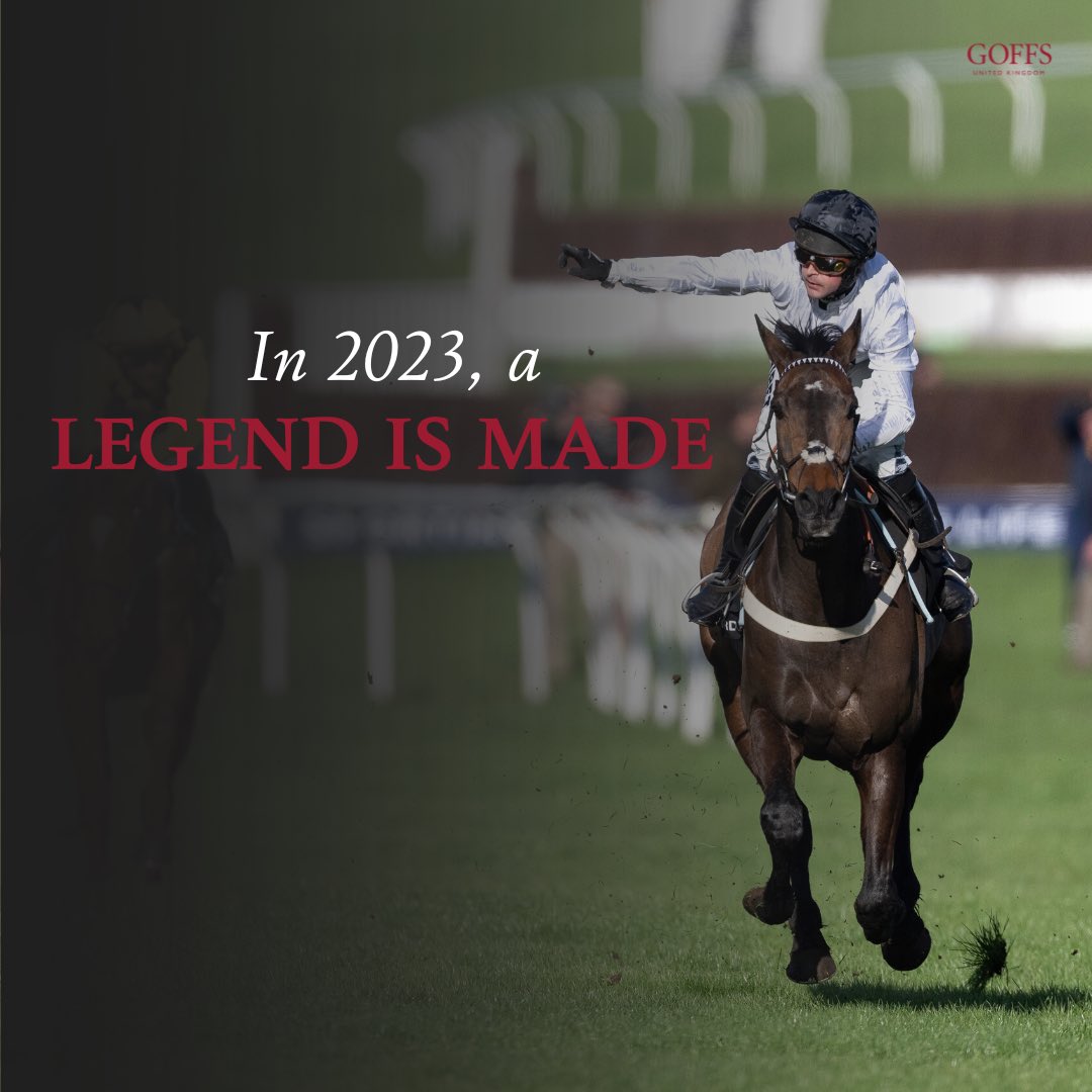 𝐂𝐎𝐍𝐒𝐓𝐈𝐓𝐔𝐓𝐈𝐎𝐍 𝐇𝐈𝐋𝐋 ❤️ 

#GoffsGrad #CheltenhamFestival2023
