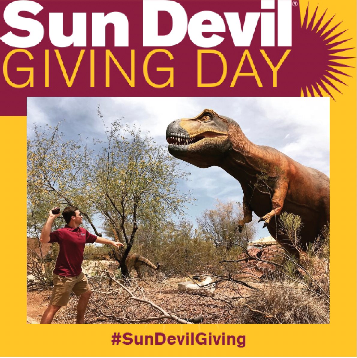 ASU Meteorites tweet media