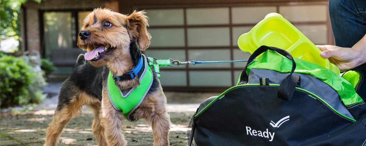 Pets need an emergency supply kit too! To view what items you should prepare visit ready.gov/pets 

#PetPreparedness #KSPrepared #WePrepare #Be Ready