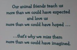 lovestowe's tweet photo. @SBARTRUM67 💔😭 https://t.co/l4Lslambcy