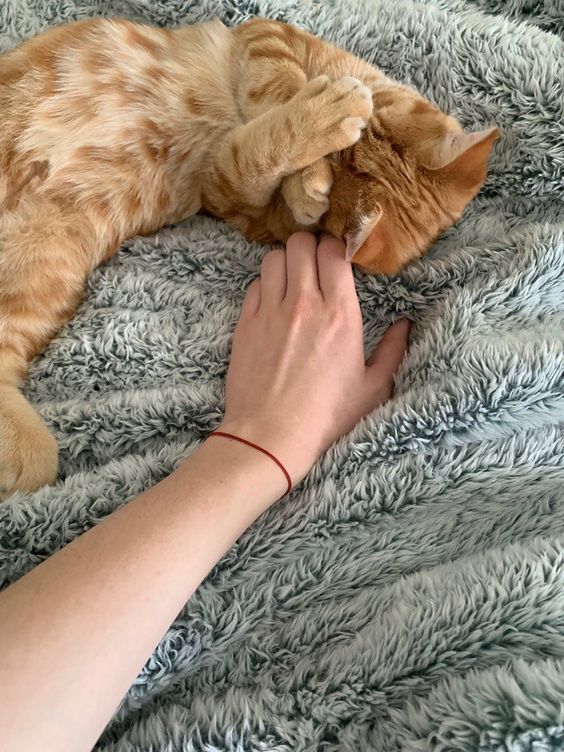 Eve (🖤,💜) tweet media