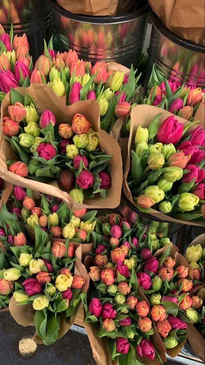 colorful tulips <3