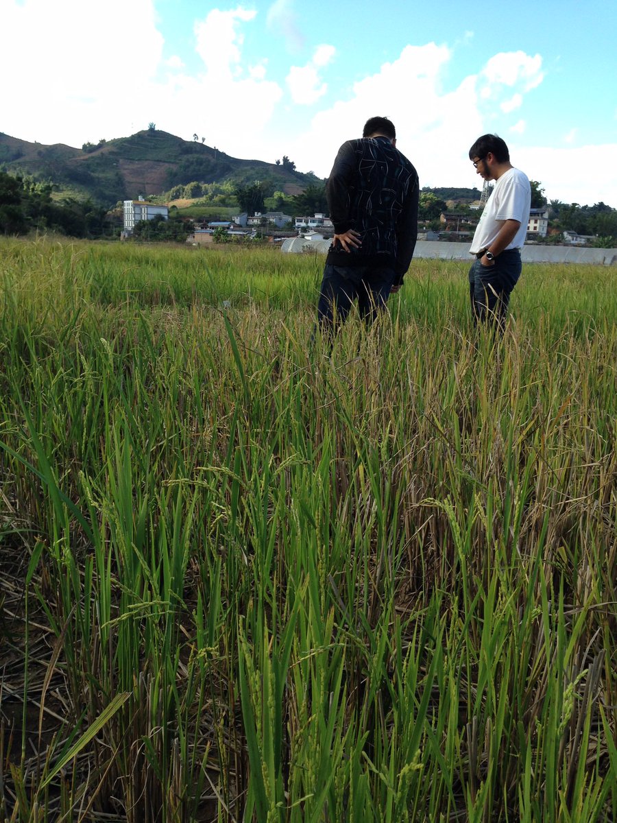 This is a huge development. Proud to be able to say I was looking at these fields 8 years ago. Was an incredible experience.