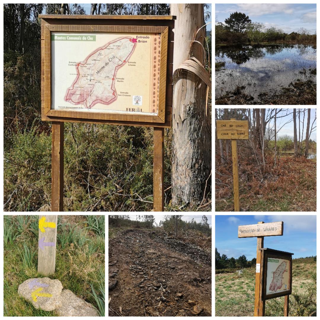 KatxukiFerrol's tweet photo. #Senderismo
#Caminar
#Ferrol
#Galicia https://t.co/0afMIl94dl