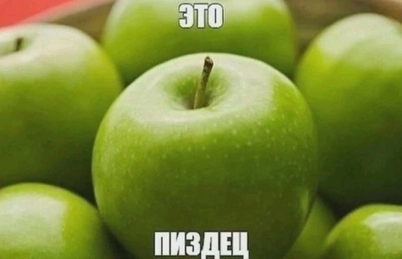 otdaisadsvoloch's tweet photo. https://t.co/TuIUfLcTj7