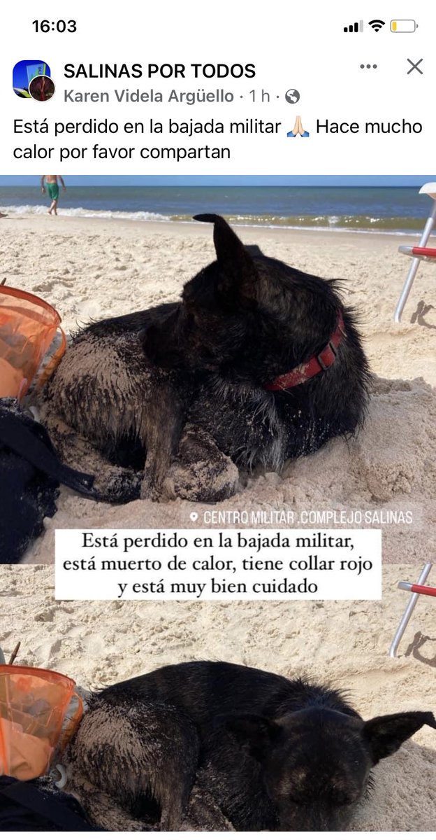 Adriana43587622's tweet photo. https://t.co/tlFliS8pxt