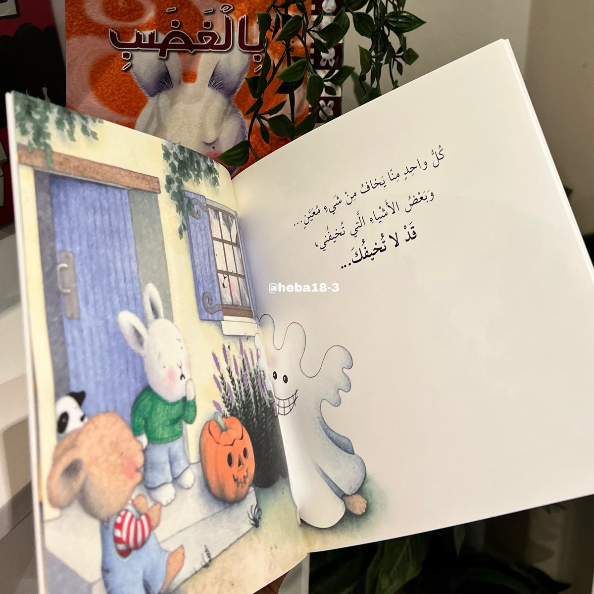 دار هبة tweet media