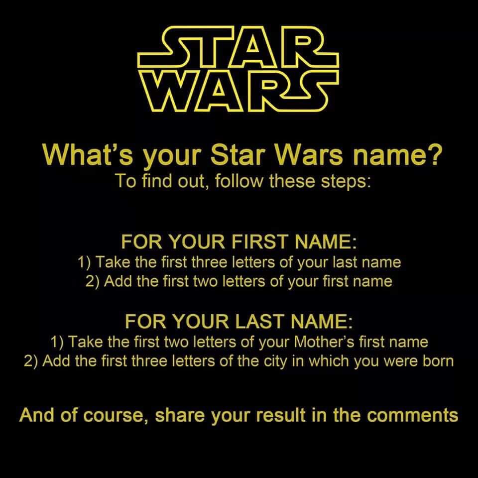 SWCultureLive's tweet photo. What’d you get? 🤔 #StarWars https://t.co/hHyfWvYszx