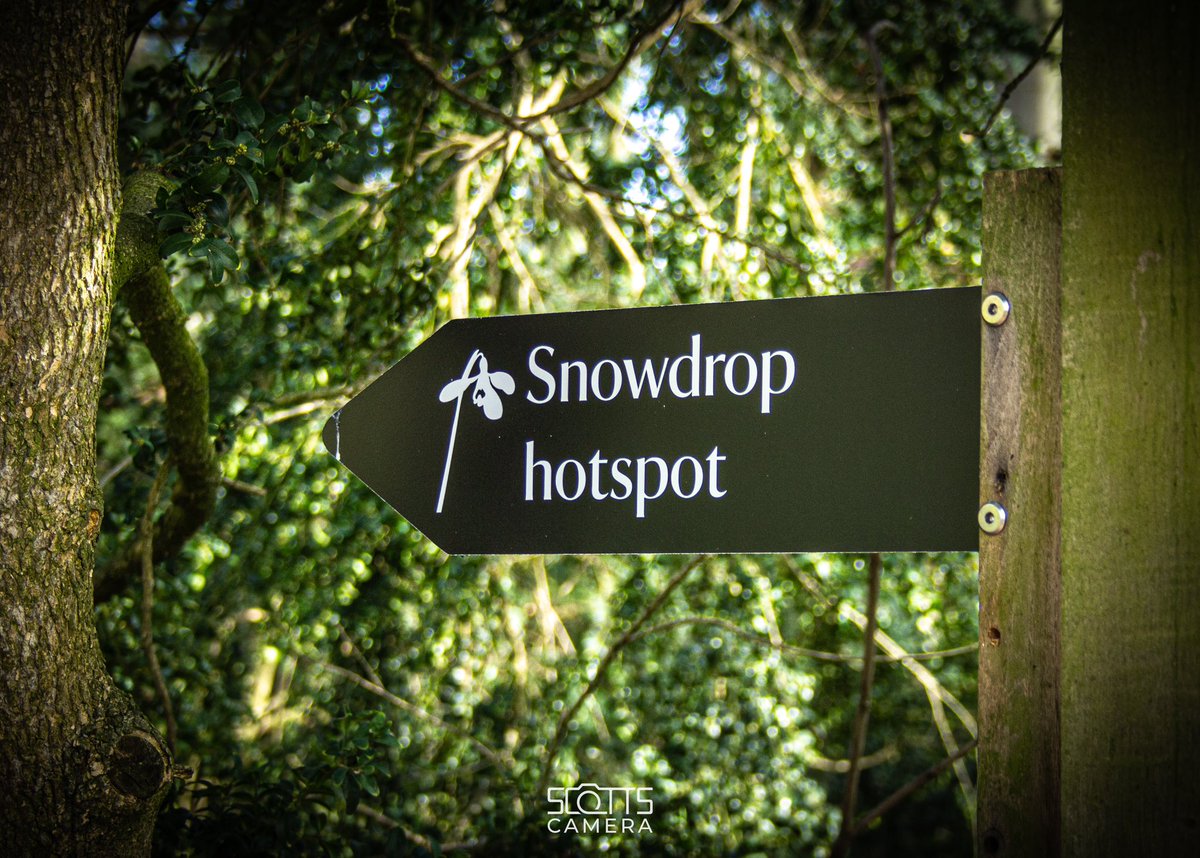 scotts_camera tweet media