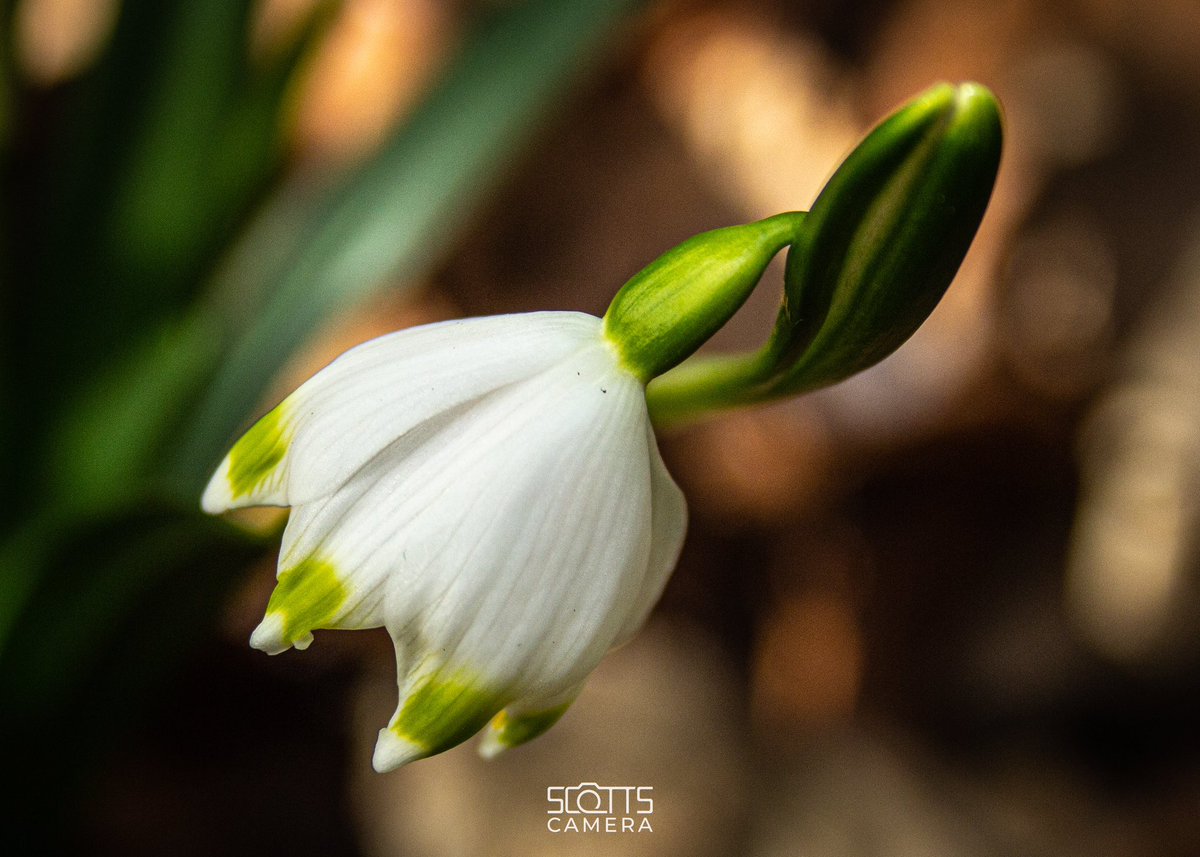 scotts_camera tweet media